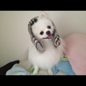 Meet your Posher, Crystal